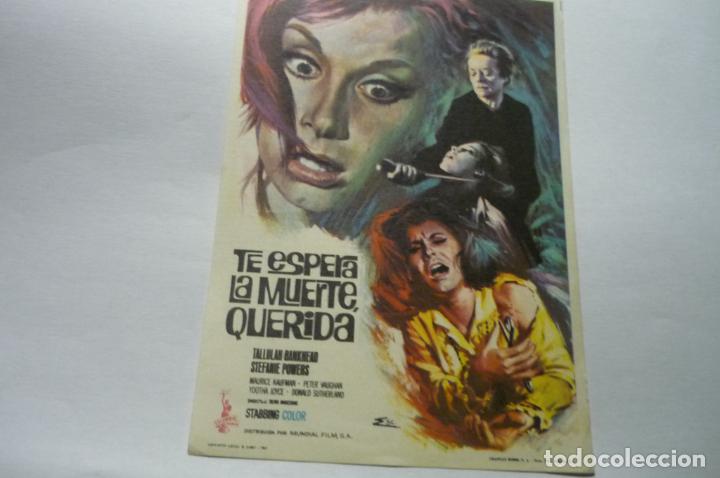 Cine: programa te espera la muerte querida -donald sutherland - Foto 1