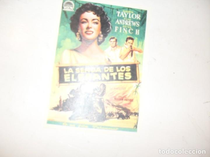 Cine: programa de mano sencillo,sin texto publicitario.titulo:LA SENDA DE LOS ELEFANTES.(ELIZABETH TAYLOR)