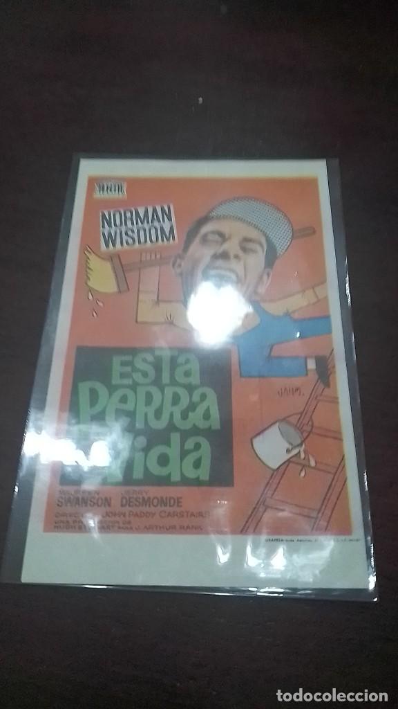 Cine: PROGRAMA O FOLLETO DE MANO DE CINE esta perra vida - Foto 1