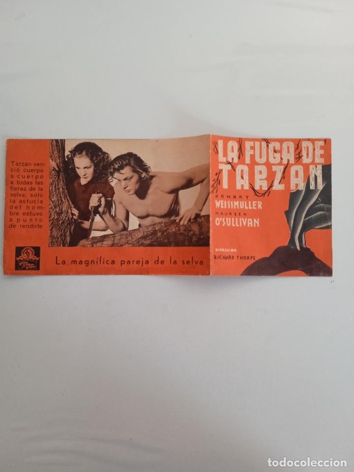 Cine: La fuga de Tarz&aacute;n Doble - Foto 1