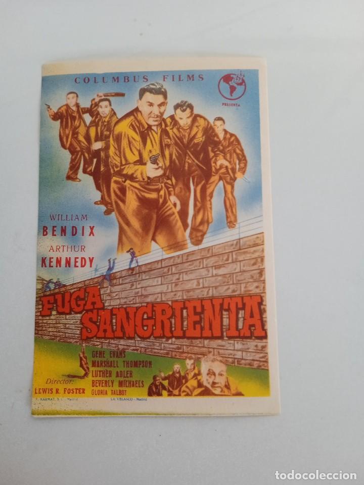 Cine: Fuga sangrienta - Foto 1