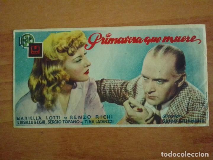 Cine: TURQ- PROGRAMA DE CINE DE LA PELICULA -PRIMAVERA QUE MUERE - Foto 1