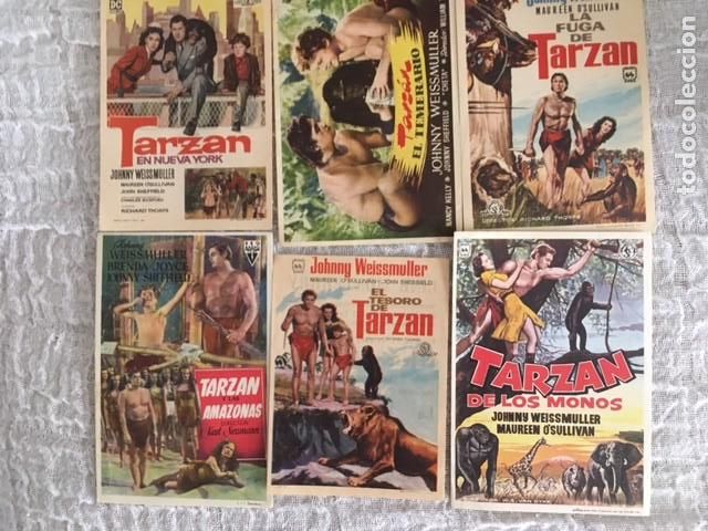 Cine: LOTE DE 6 DE TARZAN.