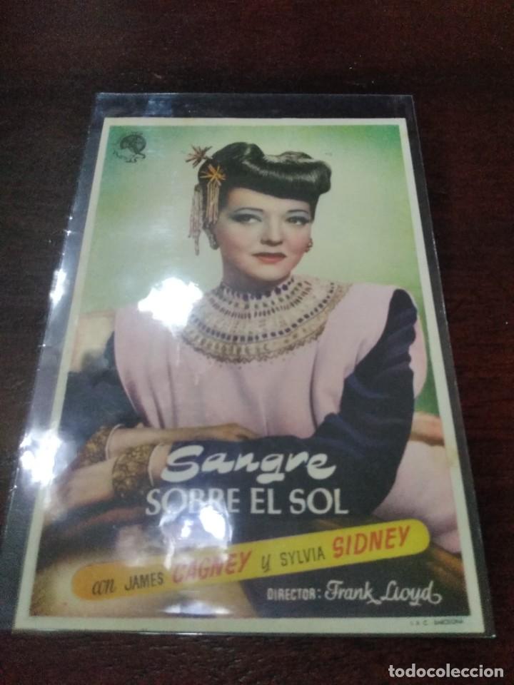 Cine: PROGRAMA O FOLLETO DE MANO DE CINE sangre sobre el sol - Foto 1