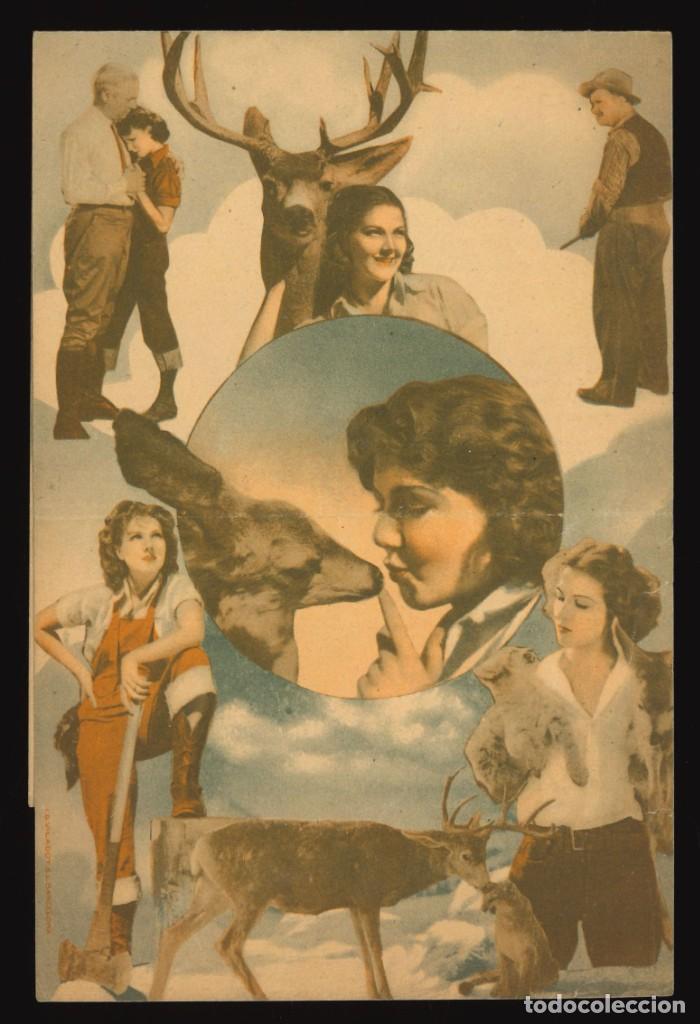 Cine: SEQUOIA / PROGRAMA DE CINE DOBLE CON PUBLICIDAD EN TRASERA (AVENTURAS) - Foto 2