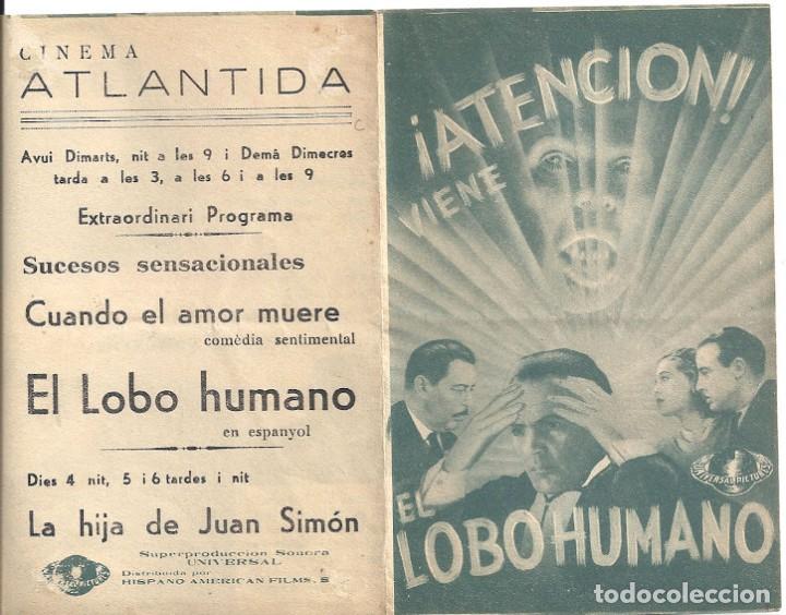 Cine: PTCC 161 EL LOBO HUMANO PROGRAMA DOBLE UNIVERSAL HENRY HULL WARNER OLAND UNIVERSAL TERROR - Foto 1
