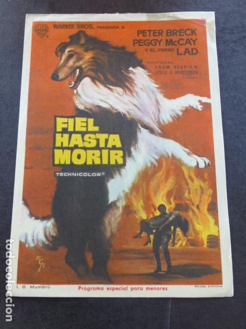 Cine: FIEL HASTA MORIR PROGRAMA DE MANO SIN PUBLICIDAD - Foto 1