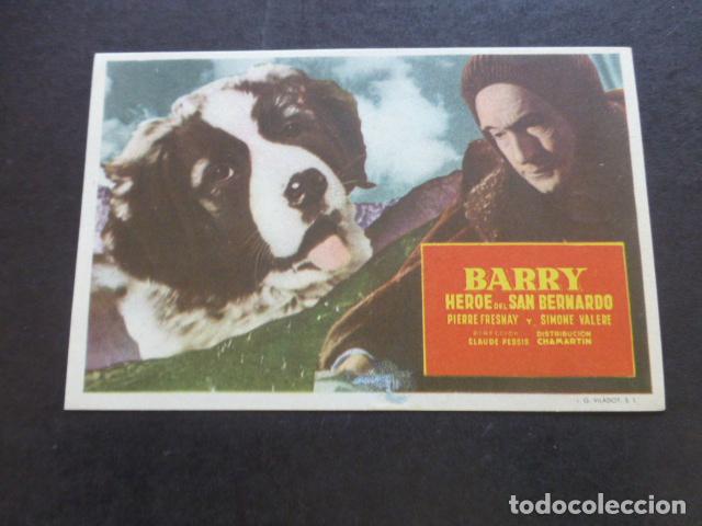 Cine: BARRY HEROE DEL SAN BERNARDO PROGRAMA DE MANO SIN PUBLICIDAD - Foto 1