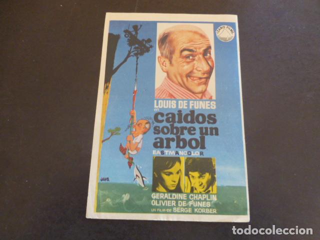 Cine: CAIDOS SOBRE UN ARBOL PROGRAMA DE MANO SIN PUBLICIDAD - Foto 1