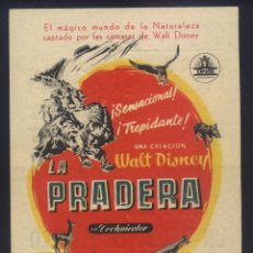Cine: P-4191- LA PRADERA (THE VANISHING PRAIRIE) (CINE MONTERROSA) WALT DYSNEY. Lote 362811190