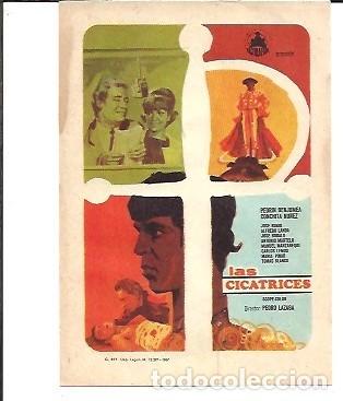 Cine: PROGRAMA CINE LAS CICATRICES - Foto 1