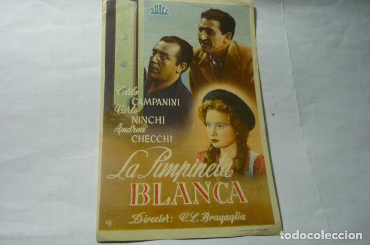 Cine: ptograma la pimpinela blanca-publicidad rialto.-castellon