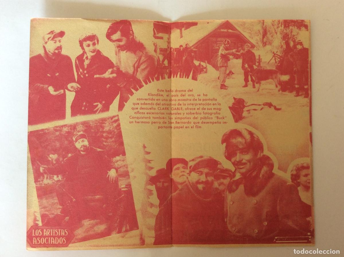 Cine: PROGRAMA DOBLE CON CINE IMPRESO. LA LLAMADA DE LA SELVA. LORETTA YOUNG, CLARK GABLE. - Foto 2