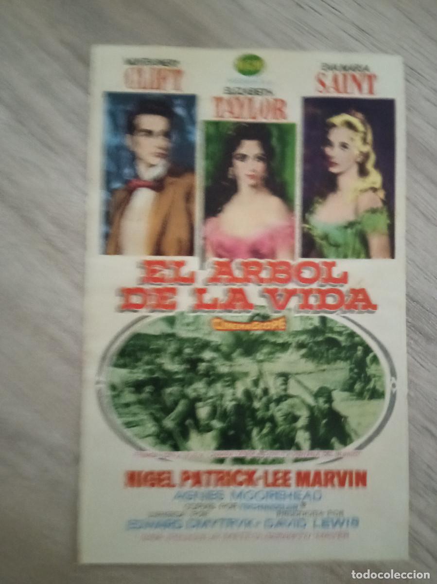 Cine: EL ARBOL DE LA VIDA, ELIZABETH TAYLOR