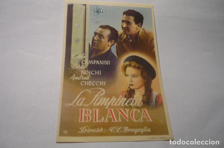 Cinema: programa la pimpinela blanca.-carlo ninchi .- publicidad cine allhambra-zaragoza??