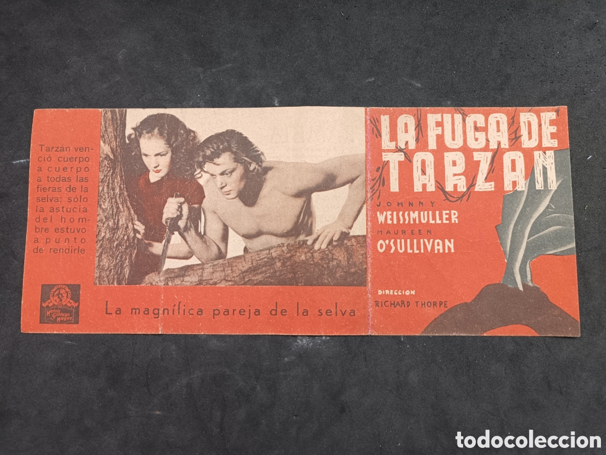 Cine: Programa la fuga de tarzan, MGM - Foto 1