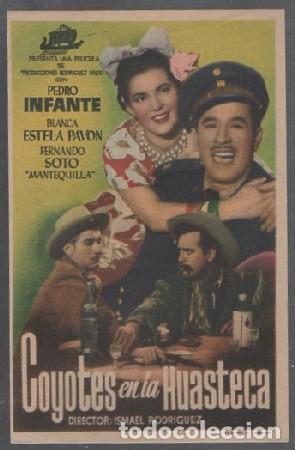 Cine: PROGRAMA DE CINE. COYOTES EN LA HUASTECA PC-6721 - Foto 1