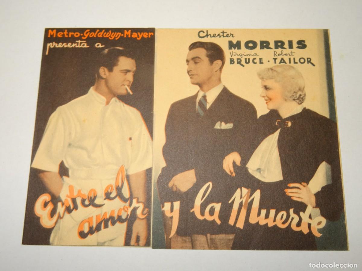 Cine: PROGRAMA DE CINE - ENTRE EL AMOR Y LA MUERTE - BUEN ESTADO - Foto 1