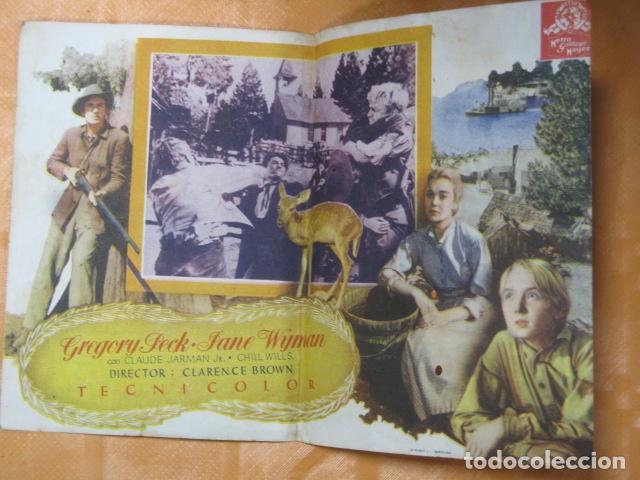 Cine: FOLLETO DE MANO EL DESPERTAR - Foto 2