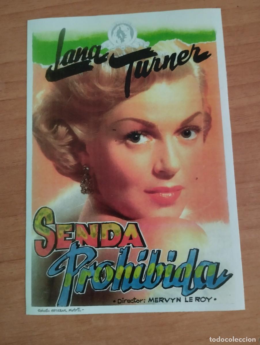Cine: N&ordm;3-- PROGRAMA DE CINE --SENDA PROHIBIDA (edit.esteban lirola) - Foto 1