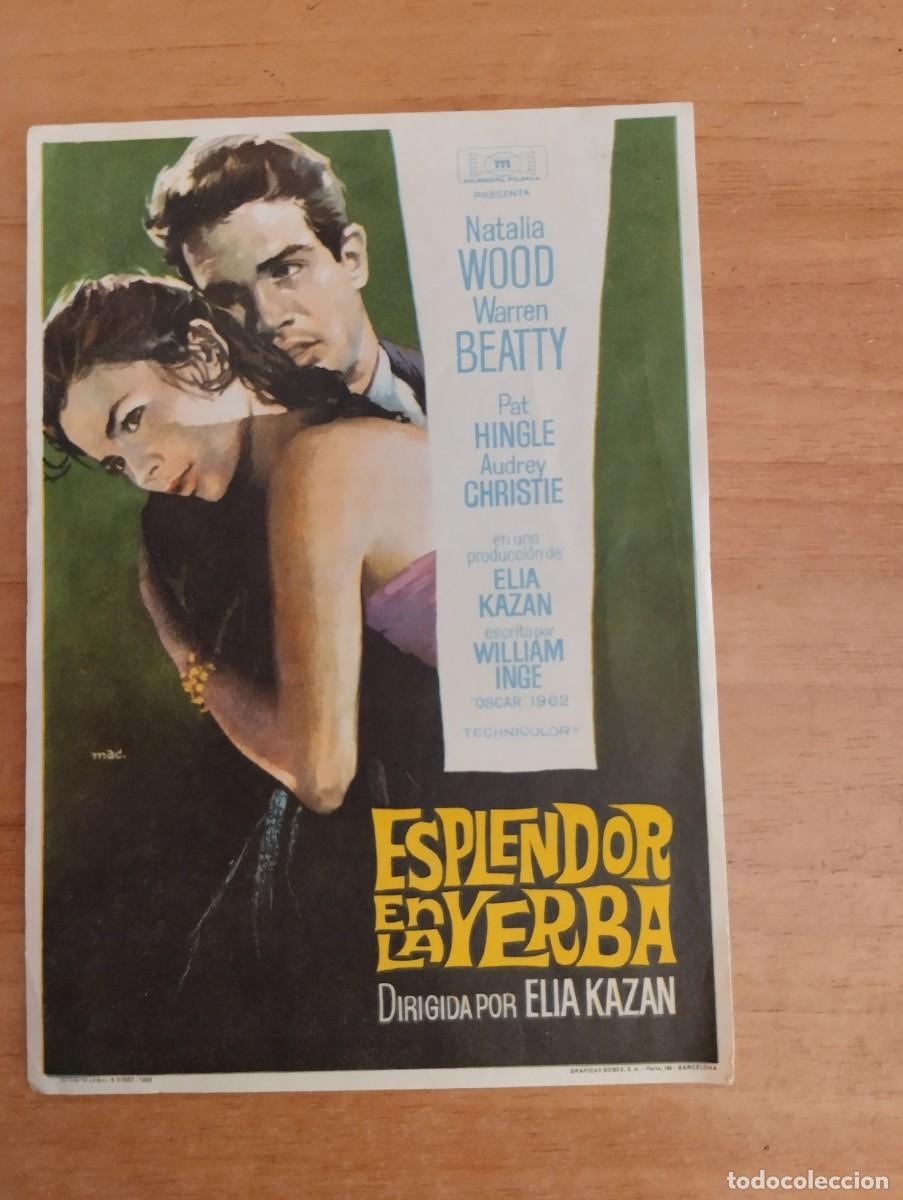 Cine: N&ordm;3-- PROGRAMA DE CINE -- ESPLENDOR EN LA YERBA - Foto 1