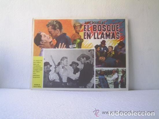 Cinema: Folleto De Mano De La Pel&iacute;cula El Bosque En Llamas The Big Trees Kirk Douglas Y Eve MIller A&ntilde;o 1952