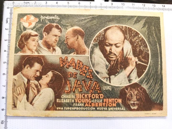 Cine: MARES DE JAVA-PROGRAMA DE CINE-VER FOTOS-(105.401) - Foto 4