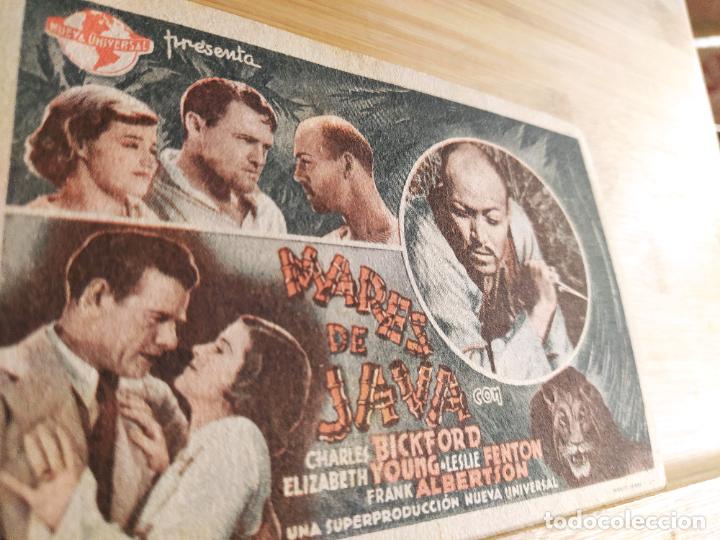 Cine: MARES DE JAVA-PROGRAMA DE CINE-VER FOTOS-(105.401) - Foto 1