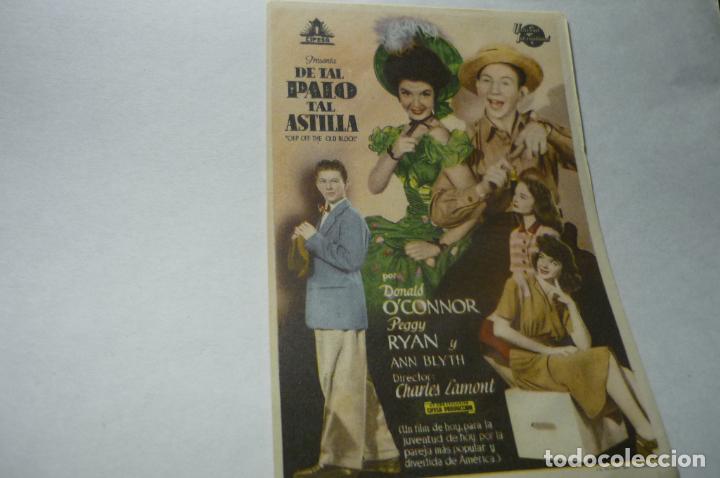 Cine: programa de tal palo tal astilla.-donald o&acute;connor - Foto 1