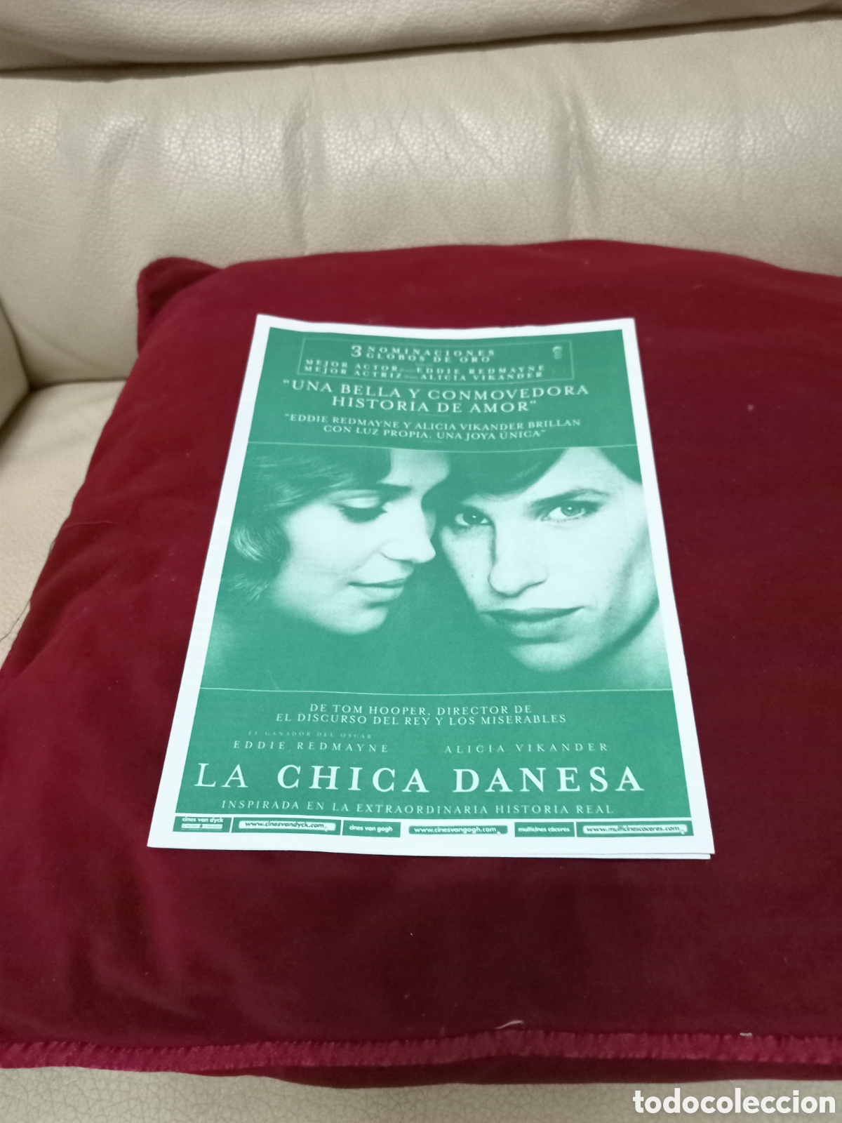 Cine: D&iacute;ptico .La chica danesa - Foto 1