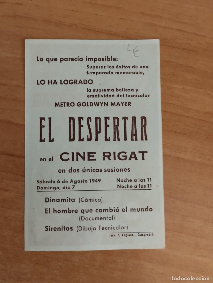 Cine: VERDE2-- PROGRAMA DE CINE-- EL DESPERTAR ct - Foto 2