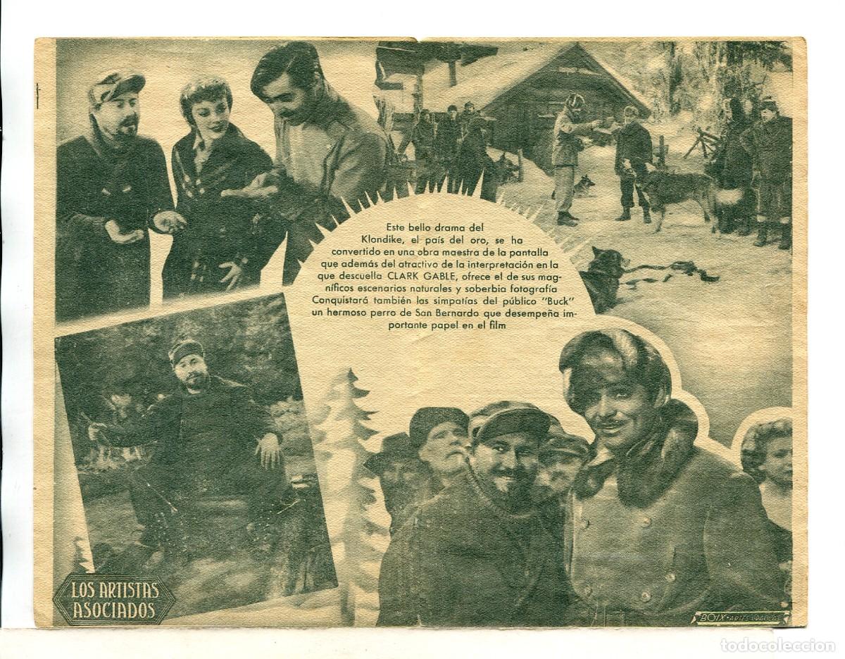 Cine: LA LLAMADA DE LA SELVA, con Clark Gable. - Foto 2