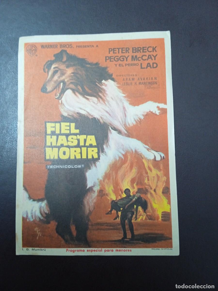 Cine: Fiel hasta morir - Foto 1