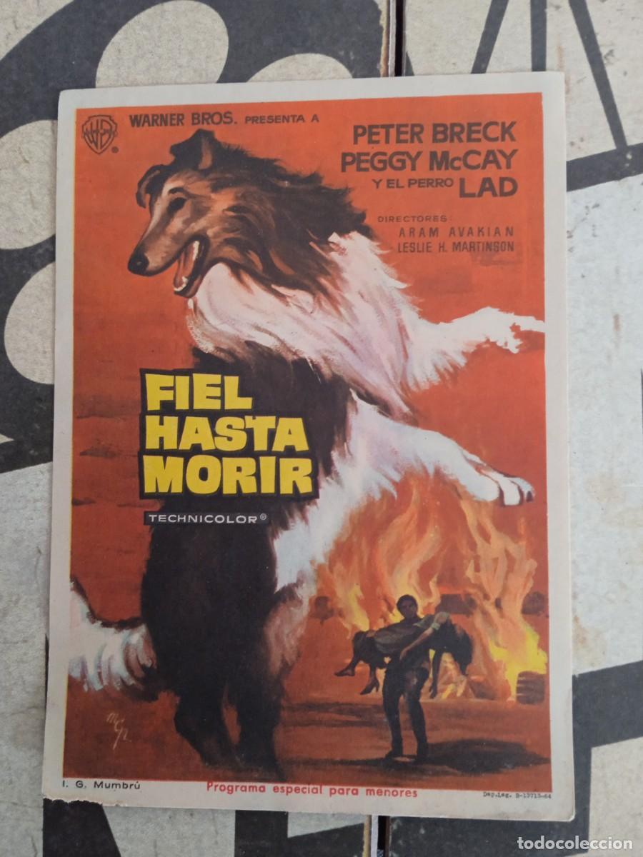 Cine: Fiel hasta morir - Foto 1