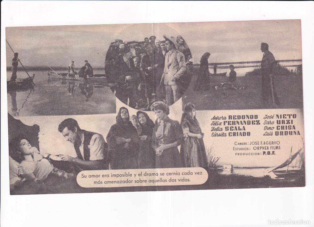 Cine: CA&Ntilde;AS Y BARRO : ANA AMENDOLA - Foto 2