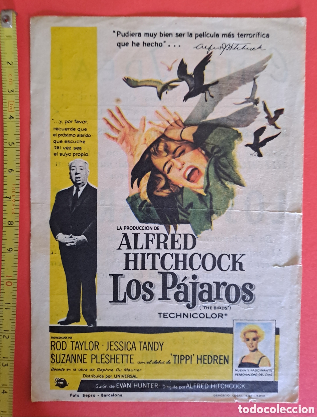 Cine: FOLLETO DE CINE LOS PAJAROS - Foto 1