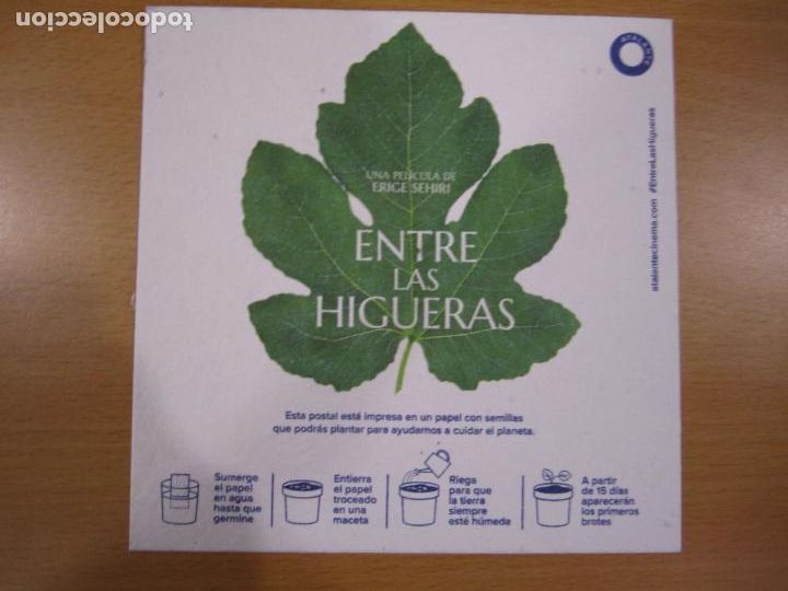 Folhetos de m&atilde;o de filmes antigos de cinema: entre las higueras - folleto original cine - erige sehiri