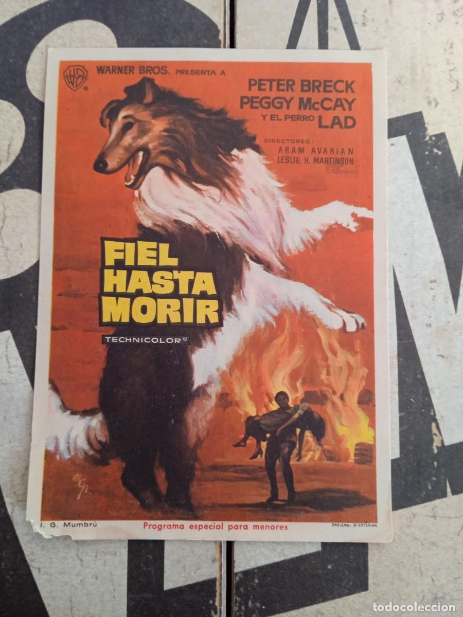 Cine: Fiel hasta morir - Foto 1