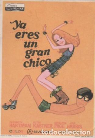 Cine: PROGRAMA DE CINE: YA ERES UN GRAN CHICO PC-7299 - Foto 1