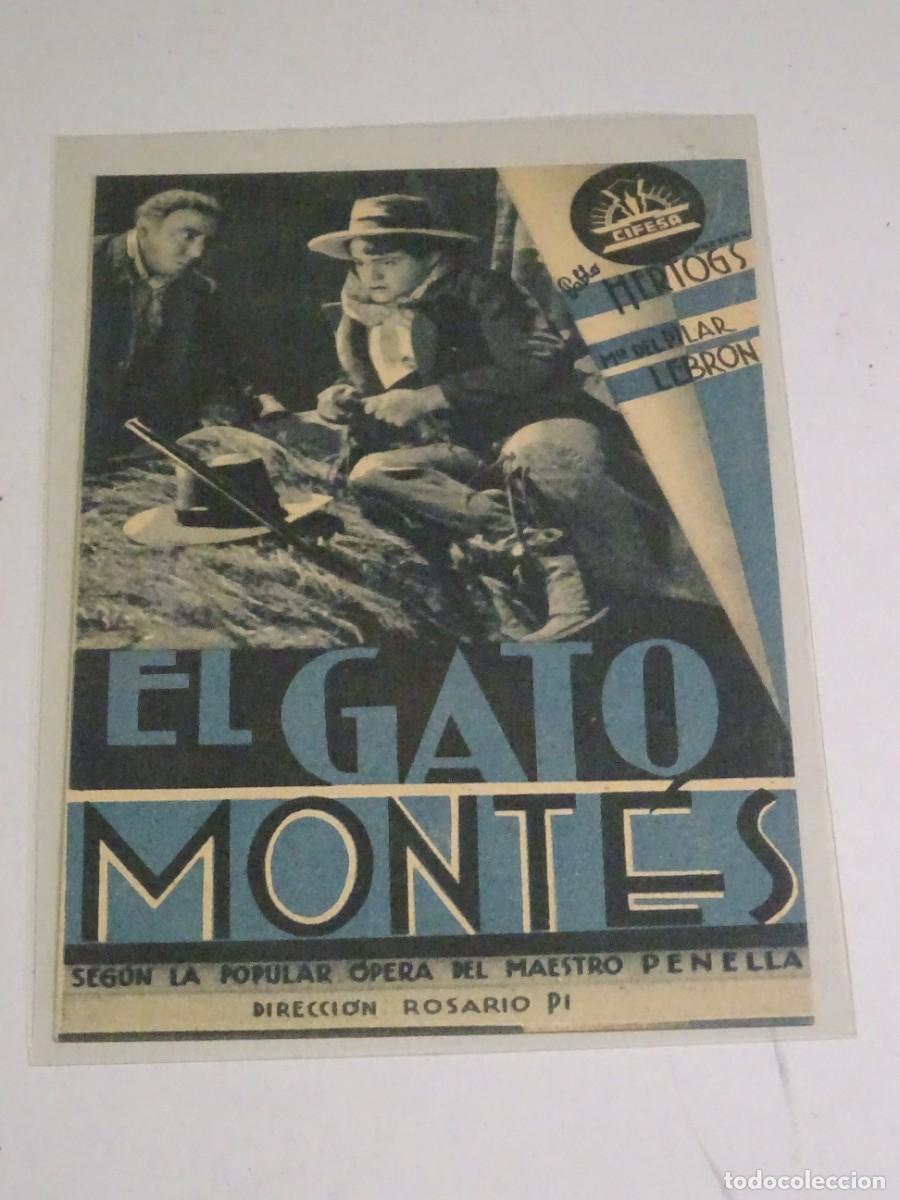 Cine: PROGRAMA DE CINE - EL GATO MONT&Eacute;S - PABLO HERTOGS - Foto 1