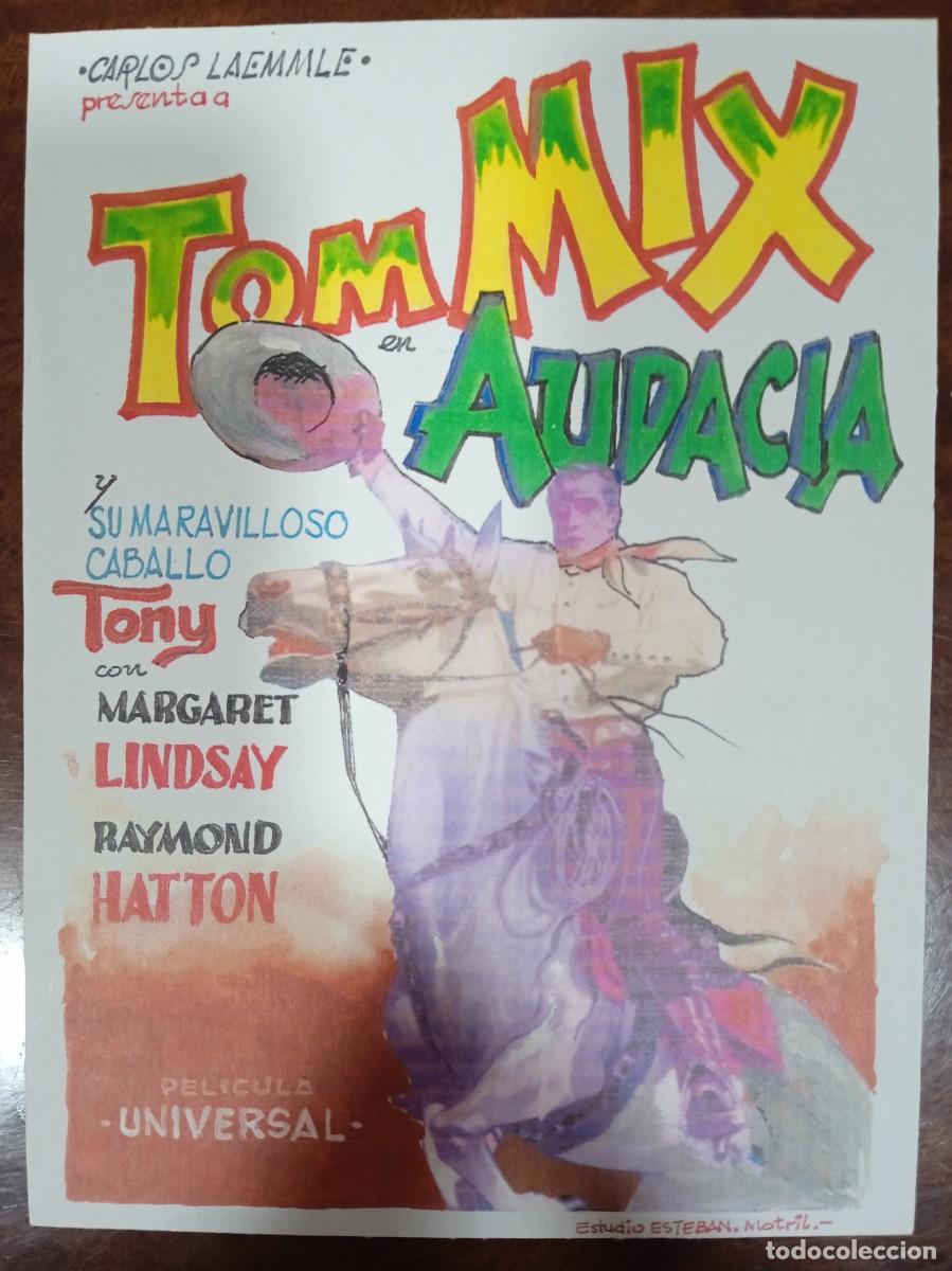 Cine: TAMMY-- PROGRAMA DE CINE--AUDACIA (edit. Esteban Lirola) - Foto 1