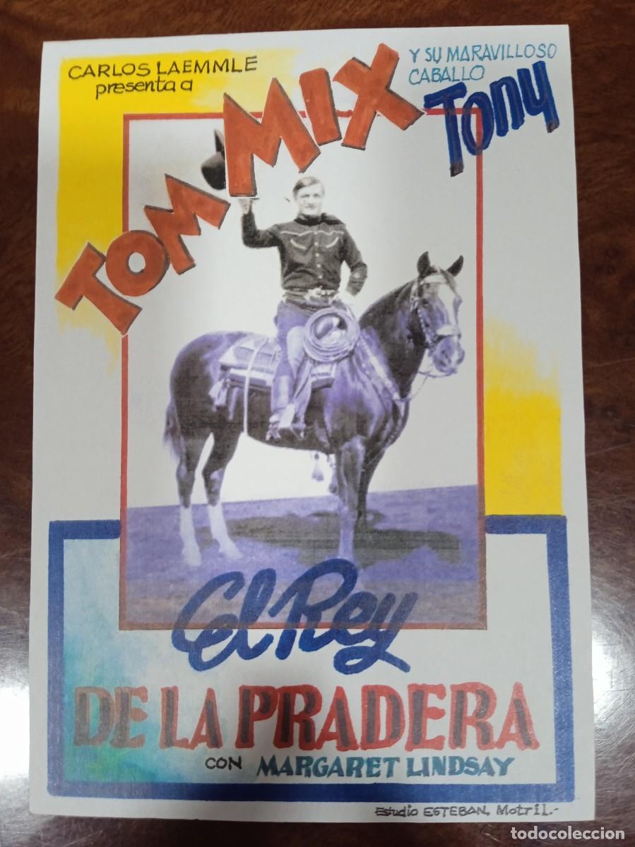 Cine: TAMMY-- PROGRAMA DE CINE--EL REY DE LA PRADERA (edit. Esteban Lirola) - Foto 1