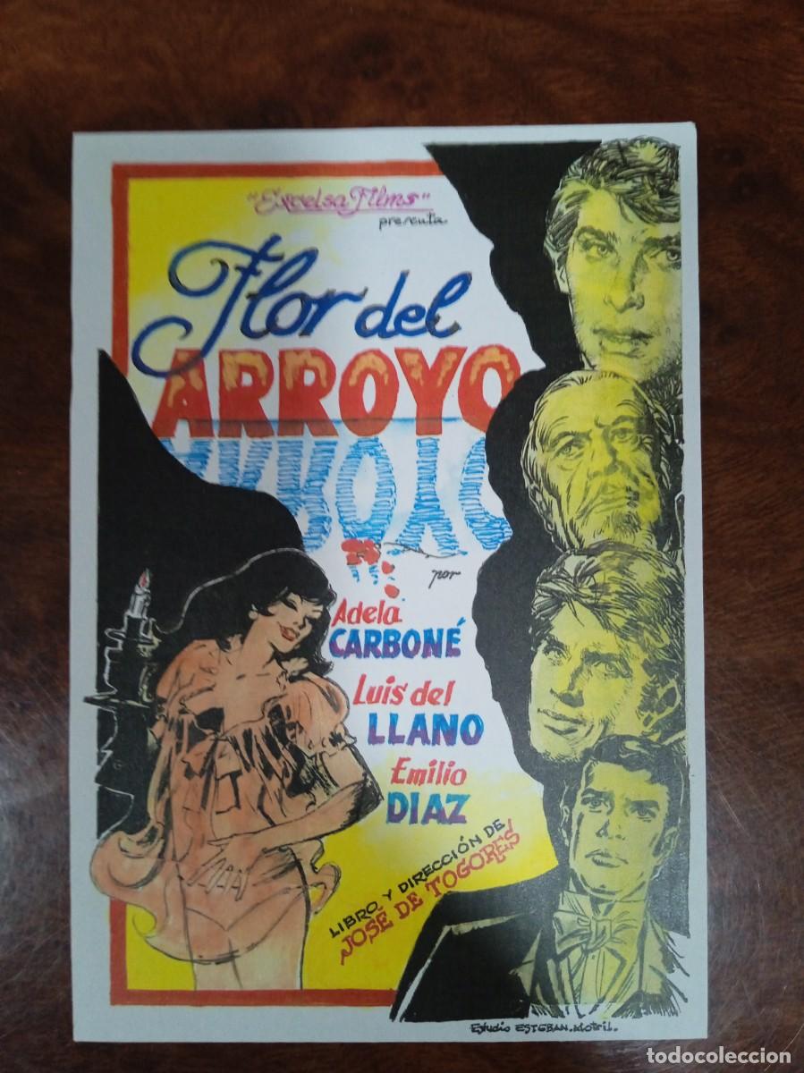 Cine: TAMMY--PROGRAMA DE CINE---FLOR DE ARROYO( edit. Esteban Lirola) - Foto 1