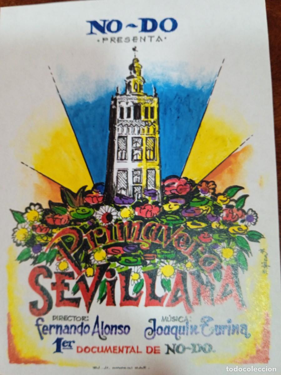 Cine: TAMMY--PROGRAMA DE CINE---PRIMAVERA SEVILLANA (edit. Esteban Lirola)