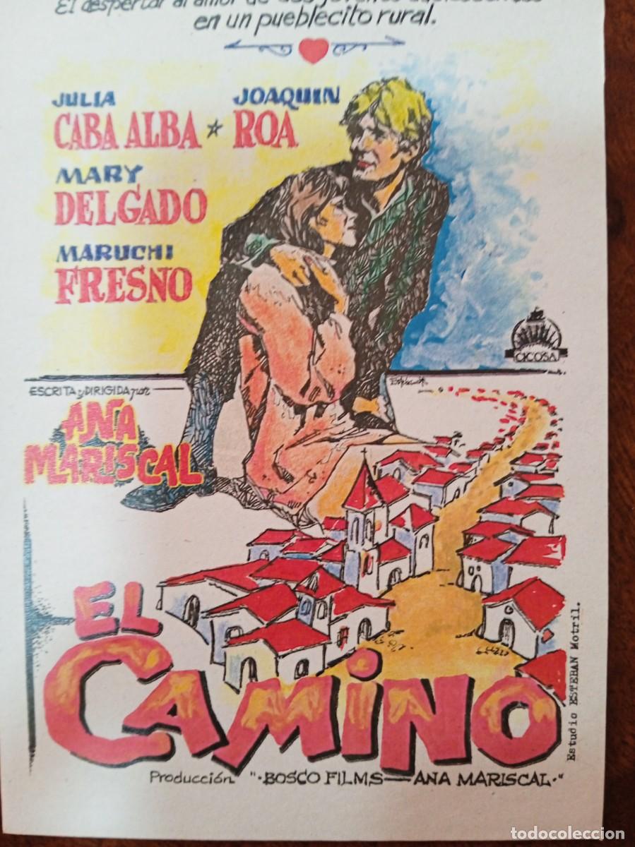 Cine: TAMMY--PROGRAMAS DE CINE -- EL CAMINO (edit. Esteban Lirola) - Foto 1