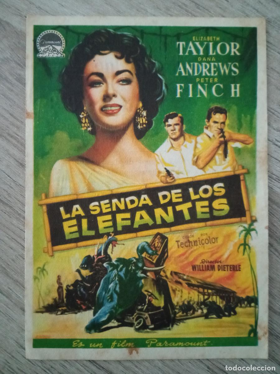 Cine: LA SENDA DE LOS ELEFANTES, ELIZABETH TAYLOR, CINE TARRAGONA