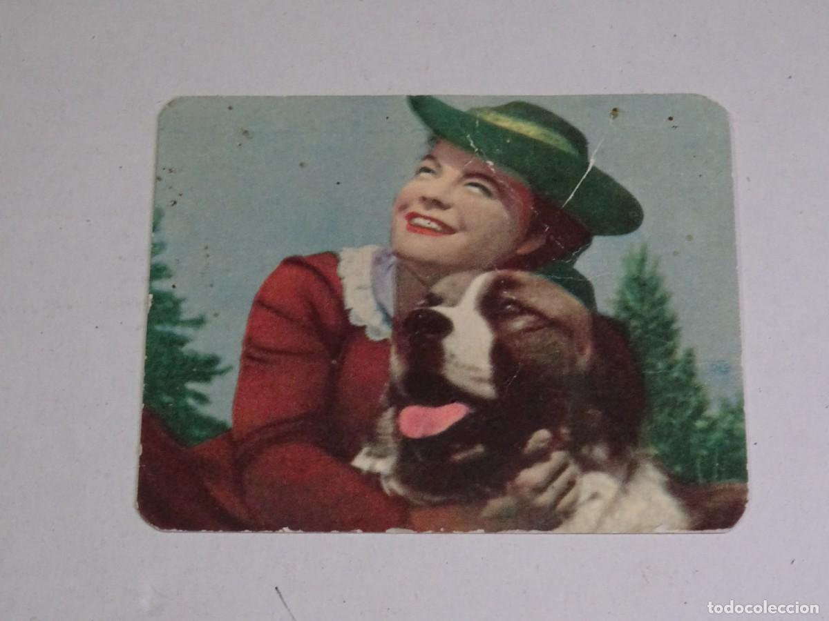 Cine: PROGRAMA DE CINE - SISSI - ROMY SCHNAIDER Y KARLHEINZ BOHM - Foto 1
