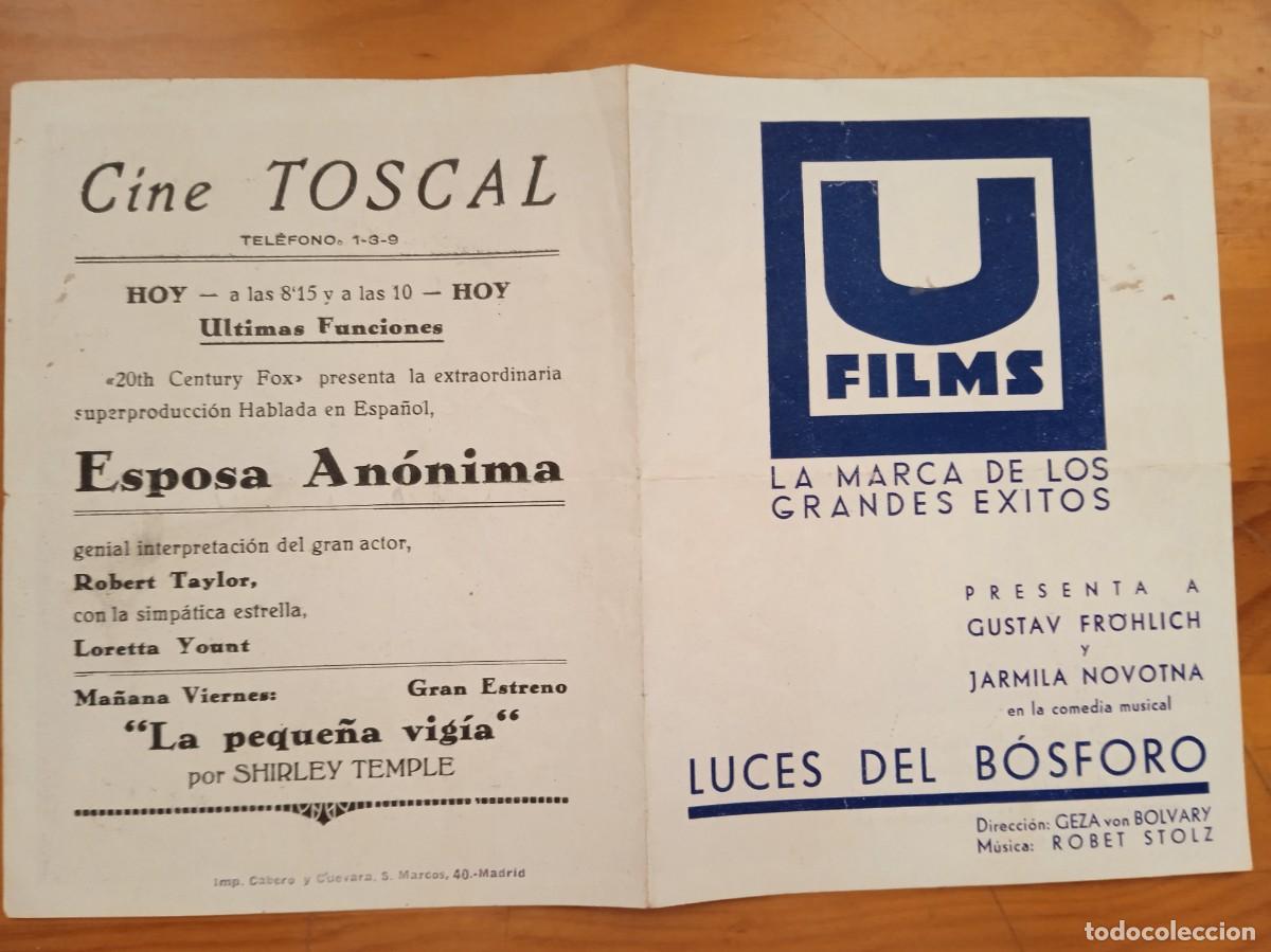 Cine: TAMMY-- PROGRAMA DE CINE--LUCES BOSFORO - Foto 1