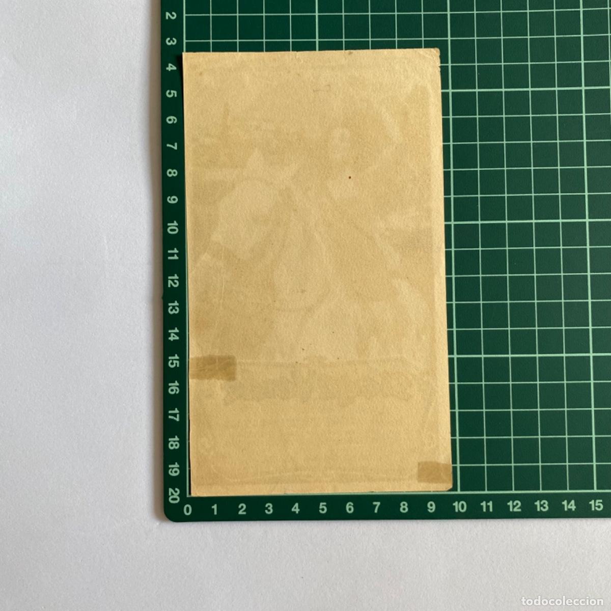 Cine: folleto de mano programa de cine pelicula Siega Verde - Foto 2