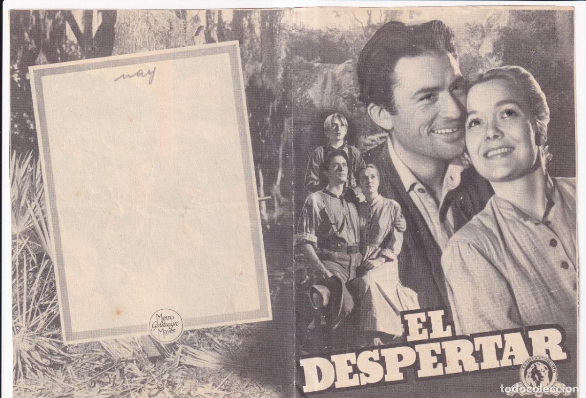Cine: EL DESPERTAR : GREGORY PECK, JANE WYNAN - Foto 1